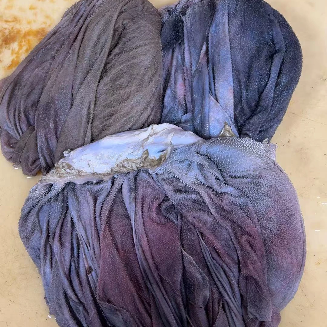 整个鲜毛肚火锅食材纯鲜货包邮到家 固形物含量90%