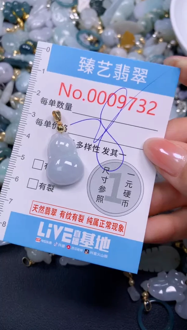 颈饰未镶嵌翡翠9732