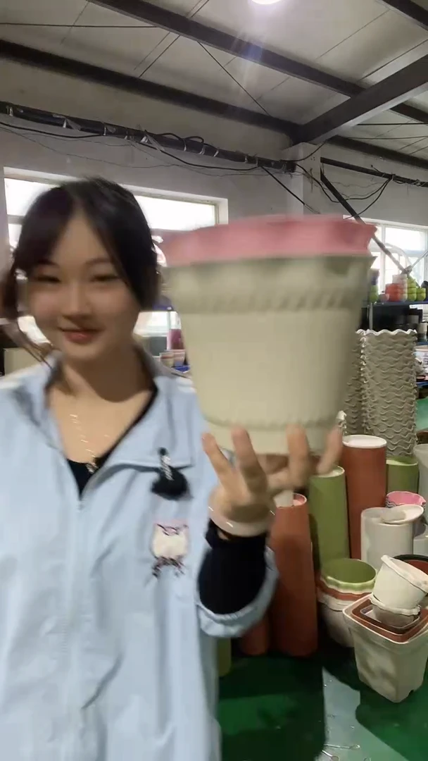 10套罗马盆5号盆，7白，3粉，带托盘
