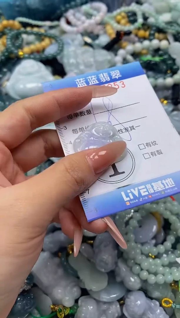 翡翠未镶嵌颈饰闪购0285253