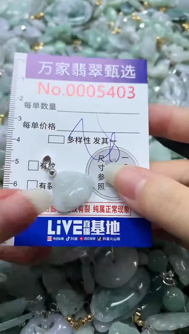 吊坠(不含链)未镶嵌翡翠5403