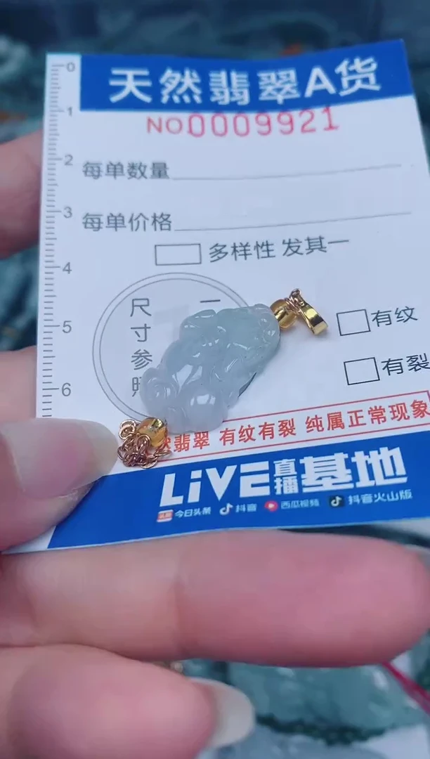 颈饰未镶嵌翡翠00009921