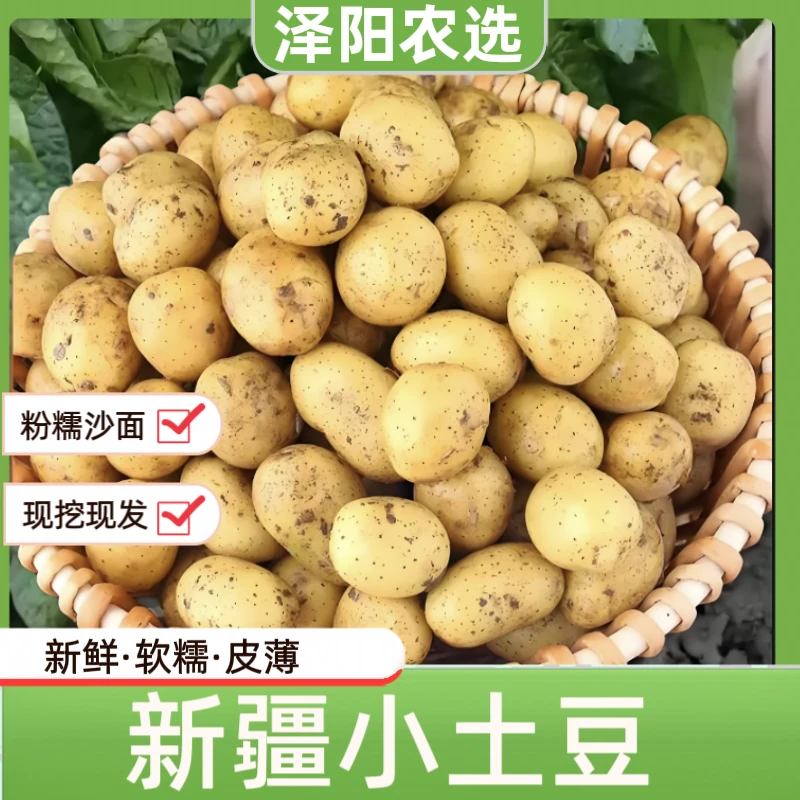 【泽阳农选】新疆黄皮黄心新鲜软糯小土豆