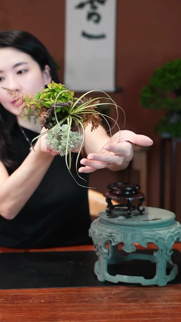 无花朵山野草盆景盆景盆景