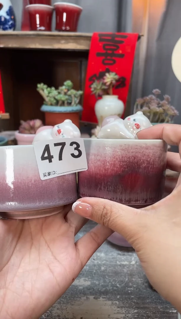 【闪购商品】摆件473知木小芳花盆