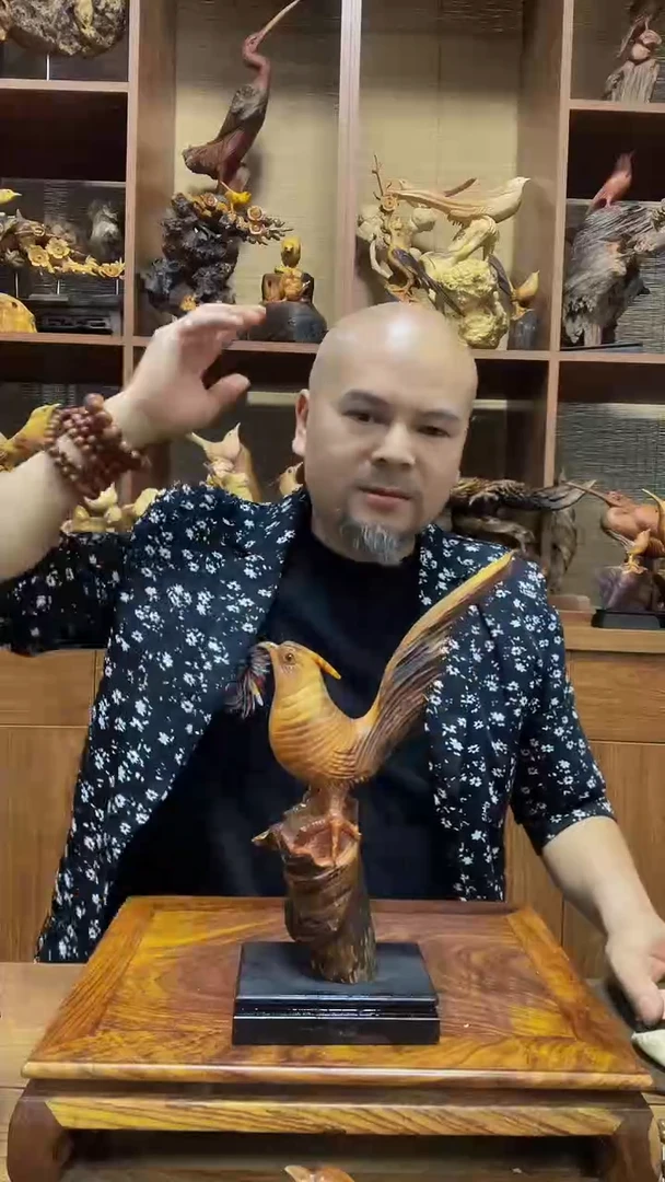 松木定向 随风定向 随风