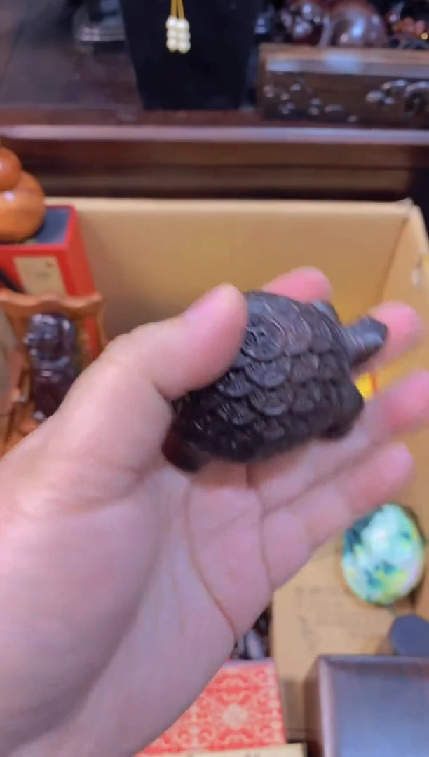 【闪购商品】木金钱龟直播推荐直播推荐