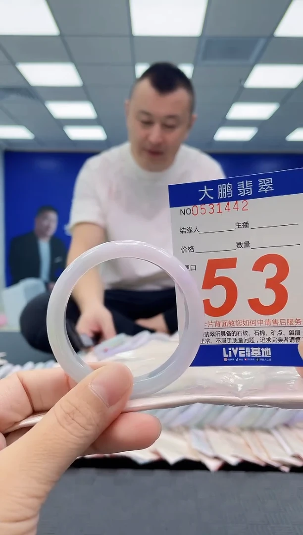 未镶嵌手镯翡翠AAAAAAAAAA
