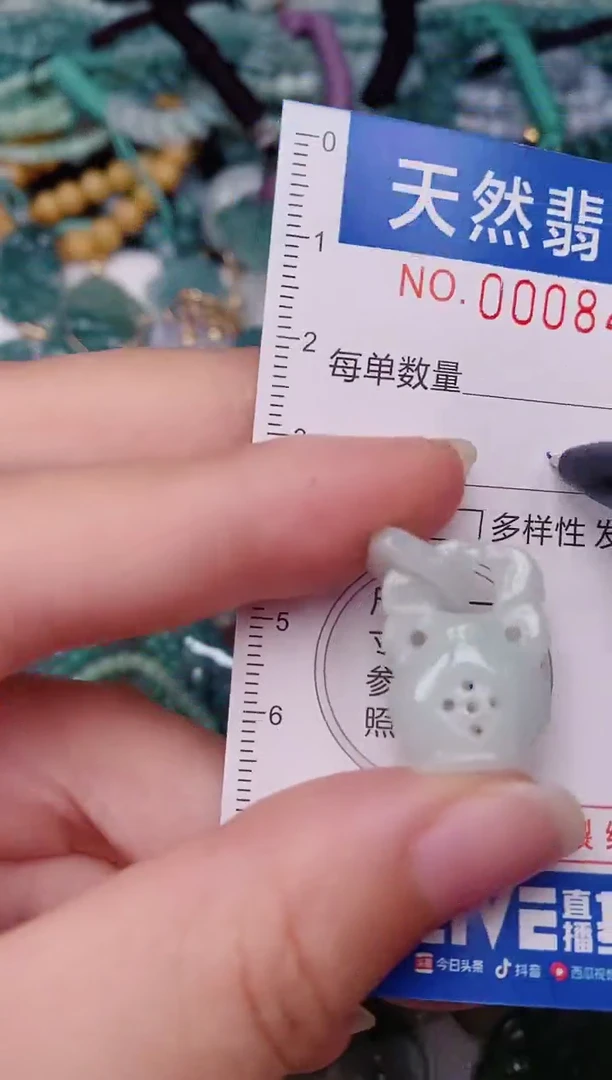 颈饰未镶嵌翡翠00008495