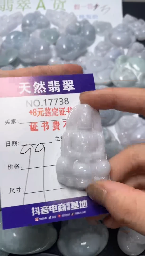 翡翠未镶嵌吊坠(不含链)738