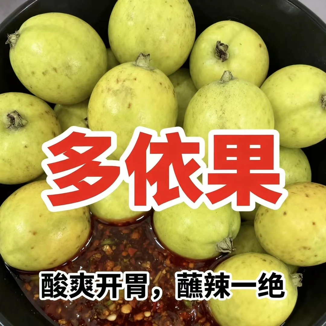云南普洱澜沧糯扎渡精品大果顺丰包邮嫁接多依渣子果酸甜适中