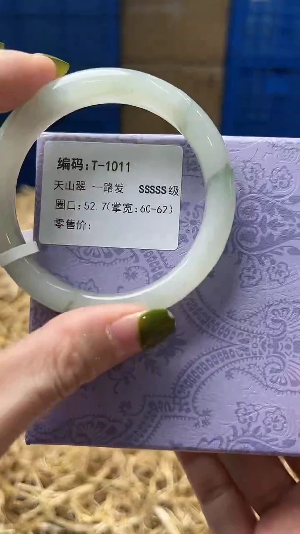 未镶嵌手镯石英质玉t1011
