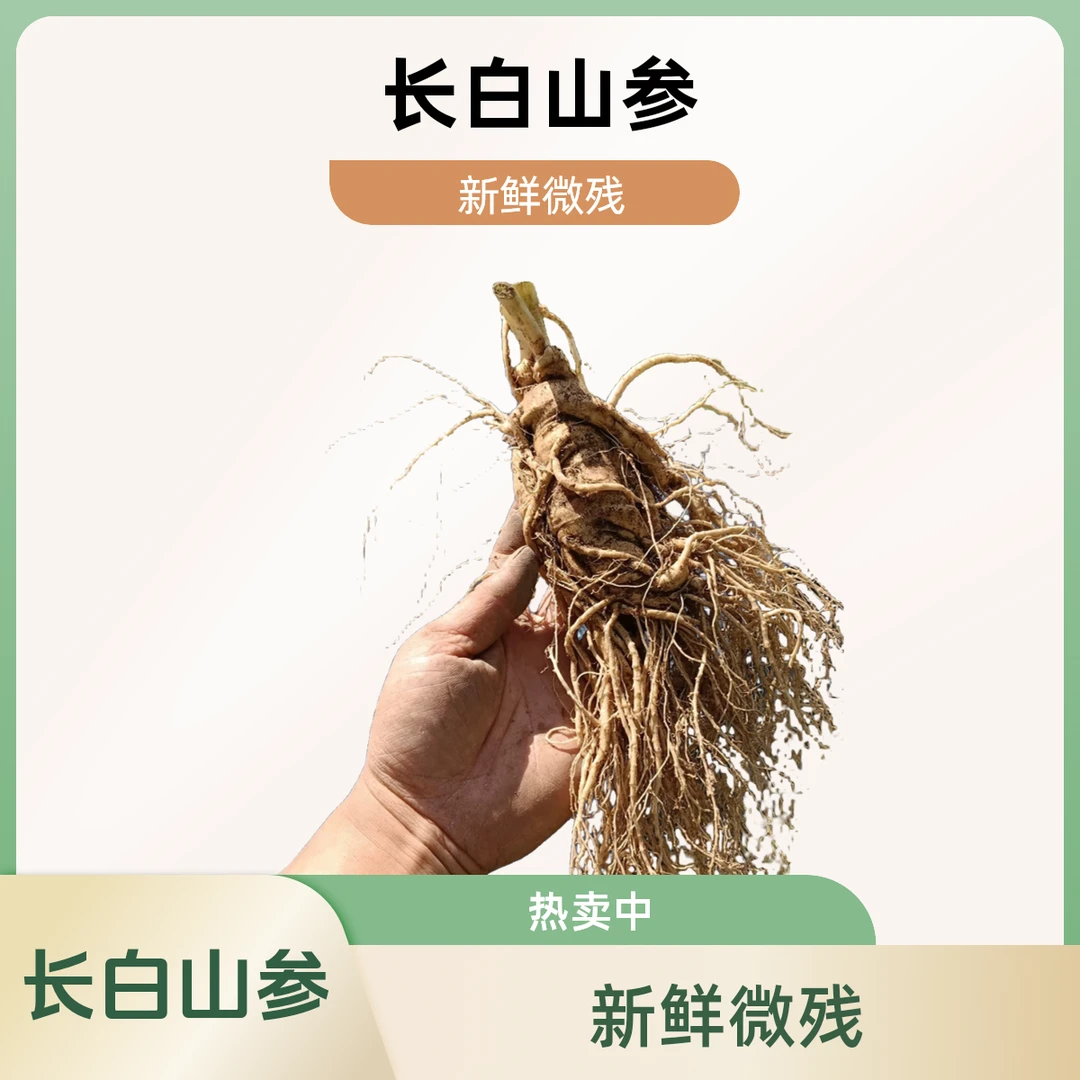 长白山新鲜人参微残、改价专用链接