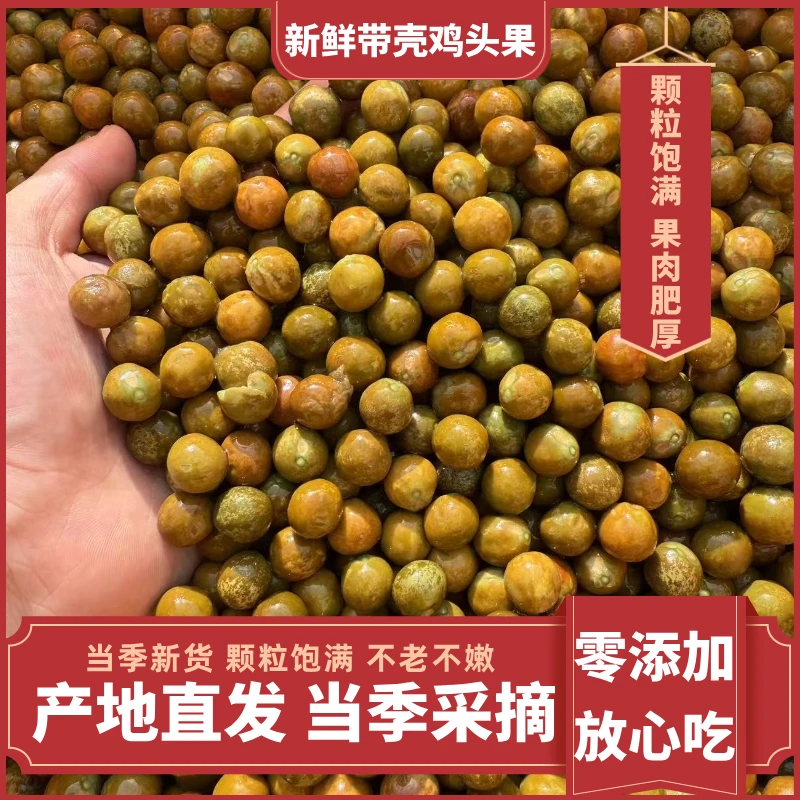 新鲜芡实鸡头果安徽霍邱西湖芡实鸡斗米壳薄肉厚鸡头果尊级特大号