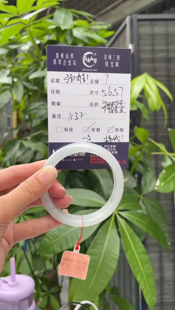 未镶嵌手镯翡翠Q 56正圈 1132