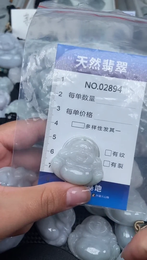 颈饰未镶嵌翡翠纯天然A货翡翠2894