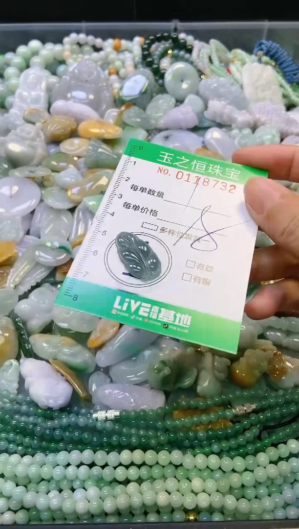 翡翠未镶嵌颈饰闪购0118732