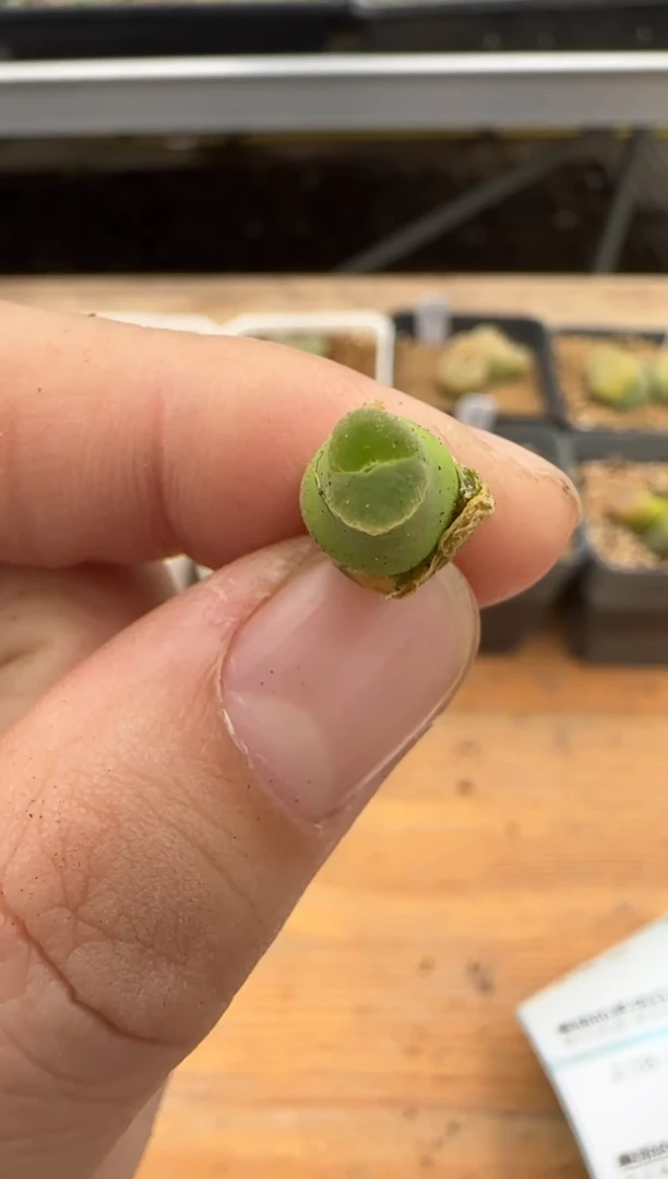 【闪购商品】18-35