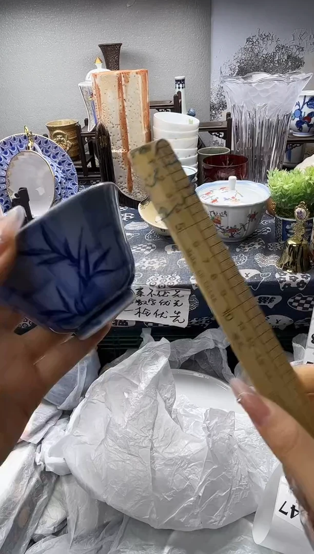 瓷片达**氏  B047