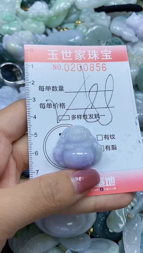 【闪购商品】翡翠颈饰未镶嵌闪购0200856多样性发其一