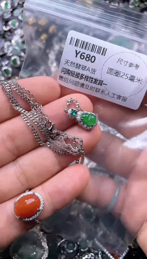 【闪购商品】翡翠颈饰未镶嵌Y680项链