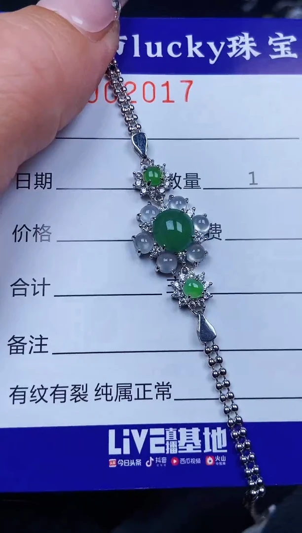 翡翠银S925镶嵌颈饰2017