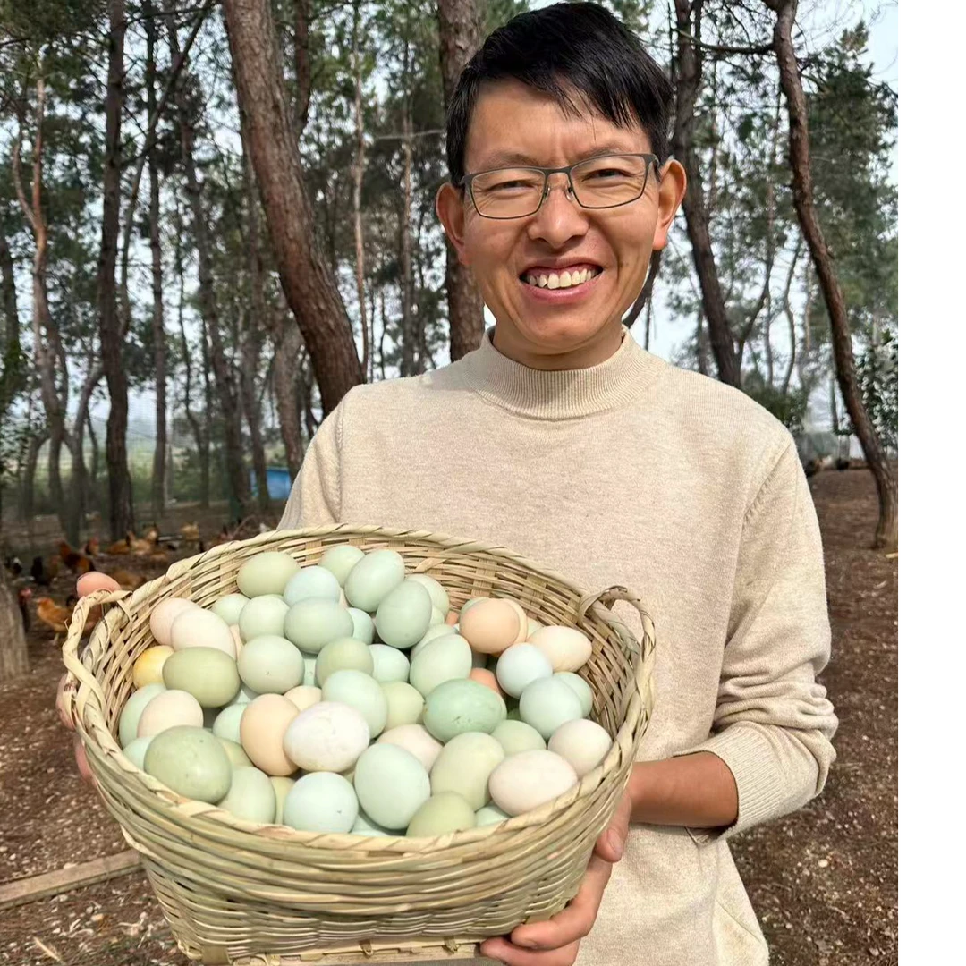 农村散养土鸡蛋大蛋50枚