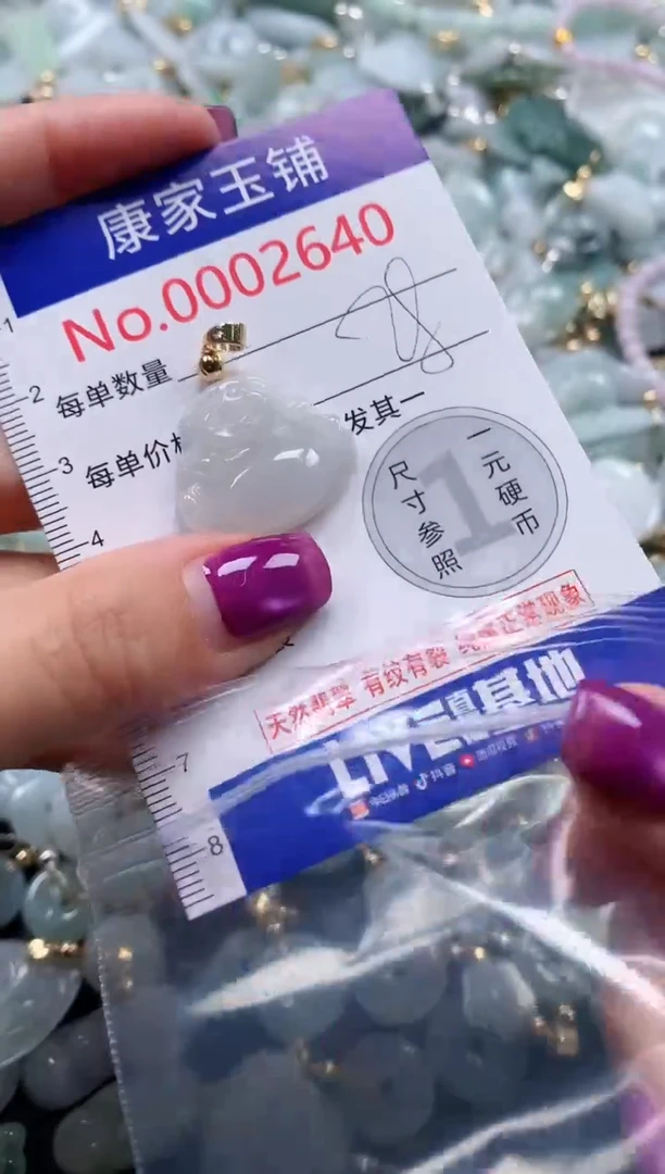 颈饰未镶嵌翡翠2640