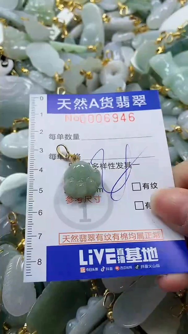 颈饰未镶嵌翡翠纯天然a货翡翠