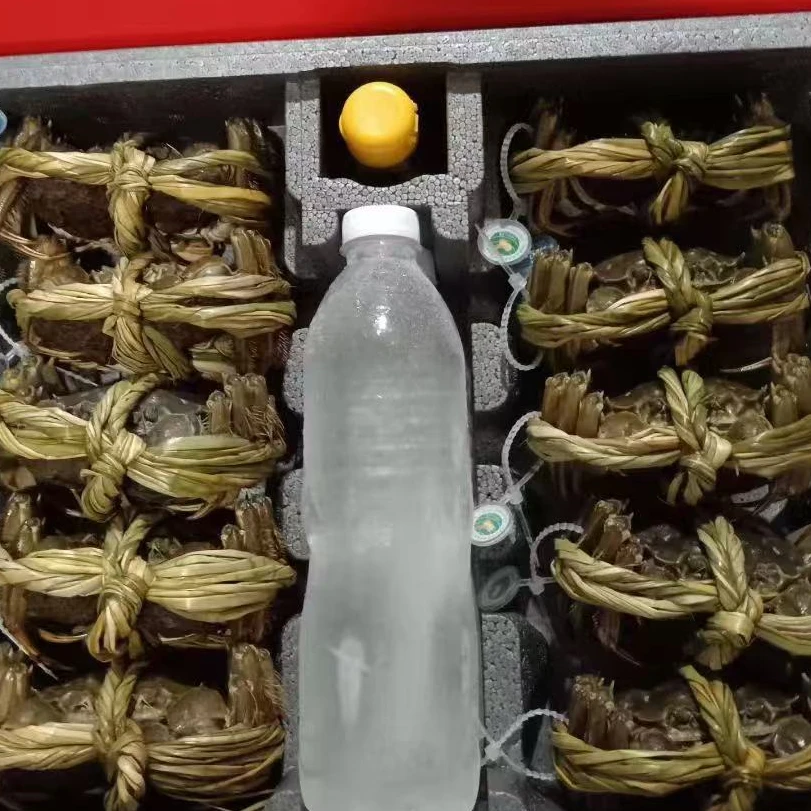 兴化精品塘口的挑膏蟹2两母一只
