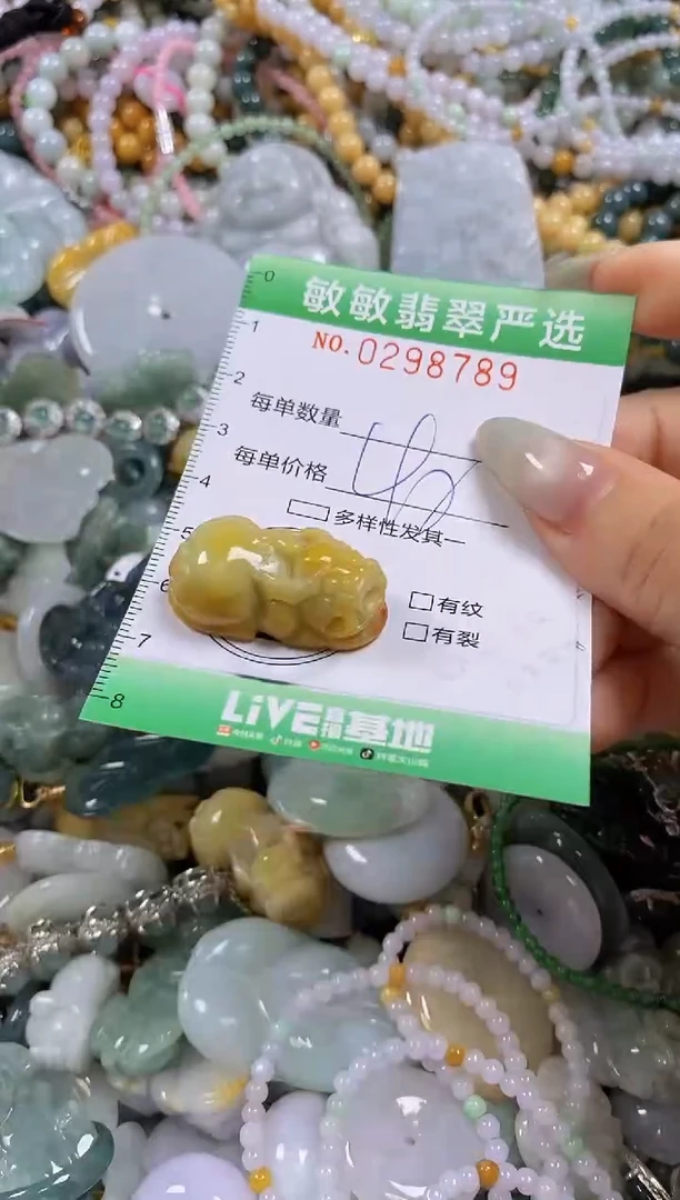 翡翠未镶嵌颈饰闪购0298789