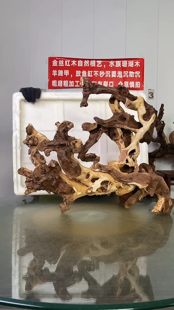香榧木活**生金丝红木   羊蹄甲