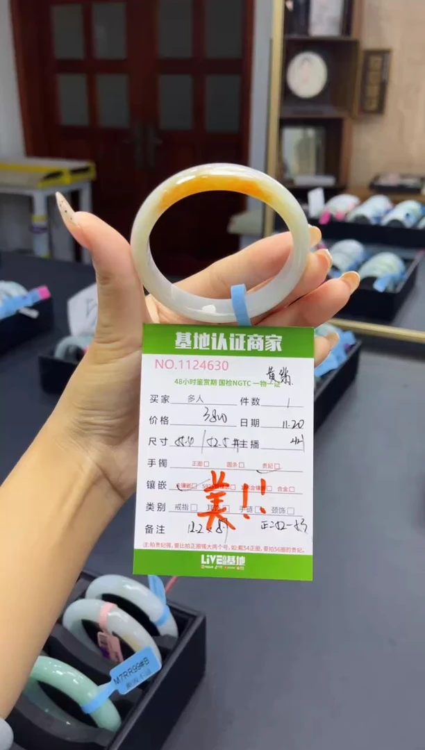 未镶嵌手镯（贵妃镯）翡翠多人