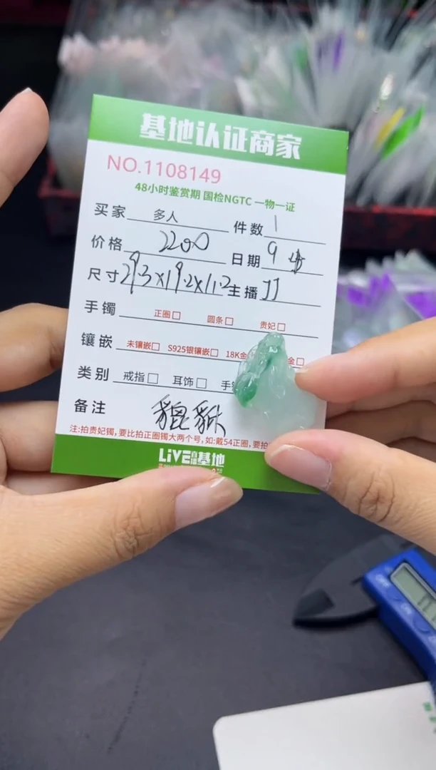 吊坠(不含链)18K金镶嵌翡翠貔貅