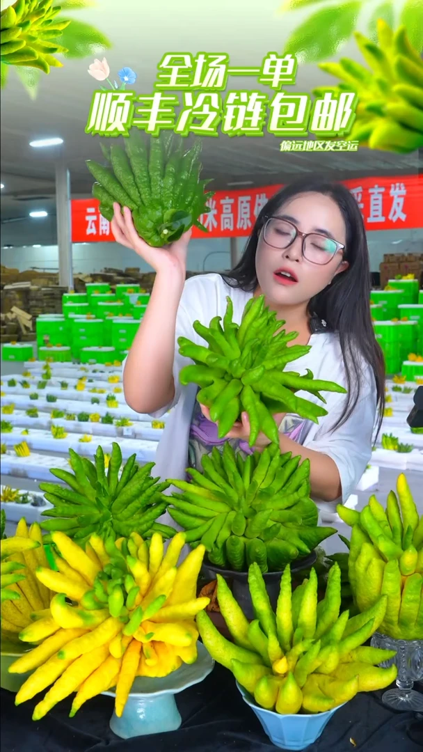 文旦柚云南高山佛手