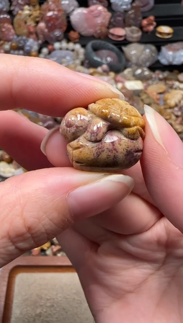 颈饰未镶嵌硅化珊瑚（珊瑚玉）299