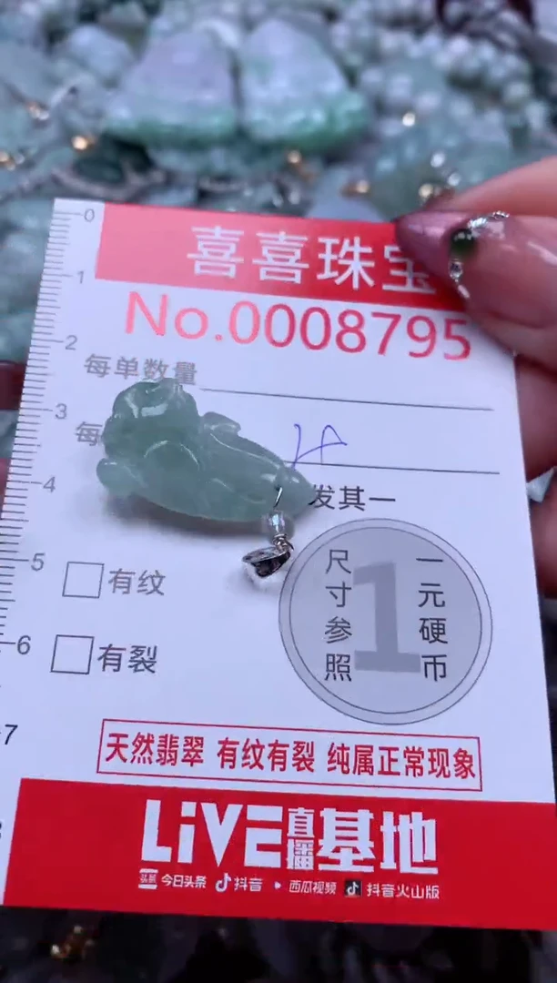 颈饰未镶嵌翡翠8795