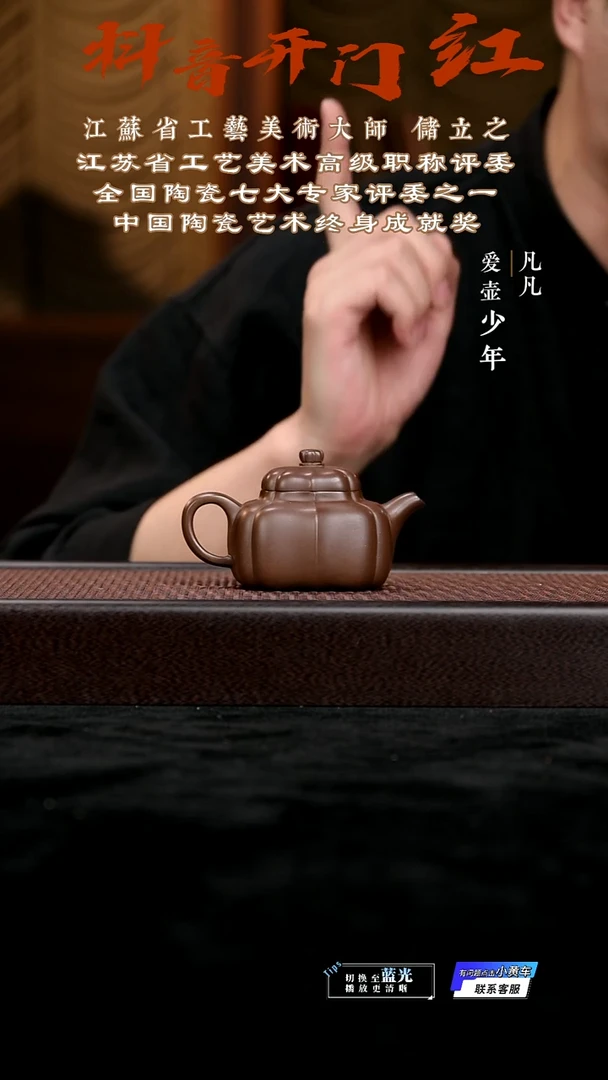 茶壶紫砂凡凡会客厅 紫砂壶15 紫泥160cc