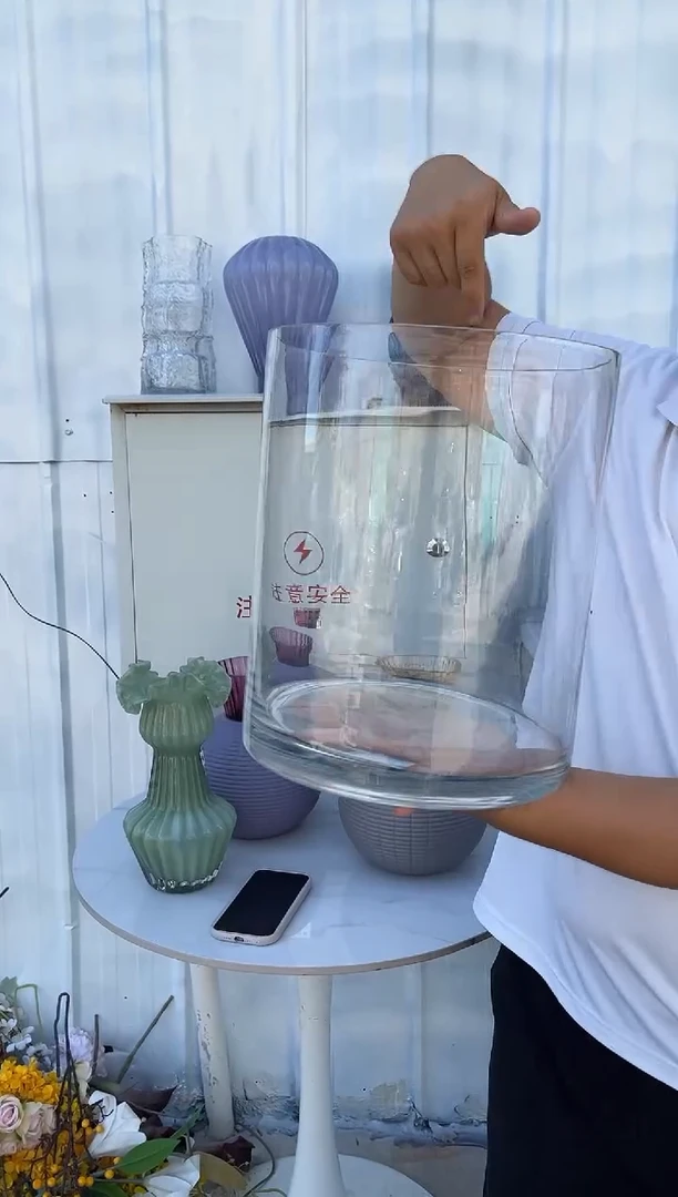 玻璃花瓶用于客厅桌面插花装饰