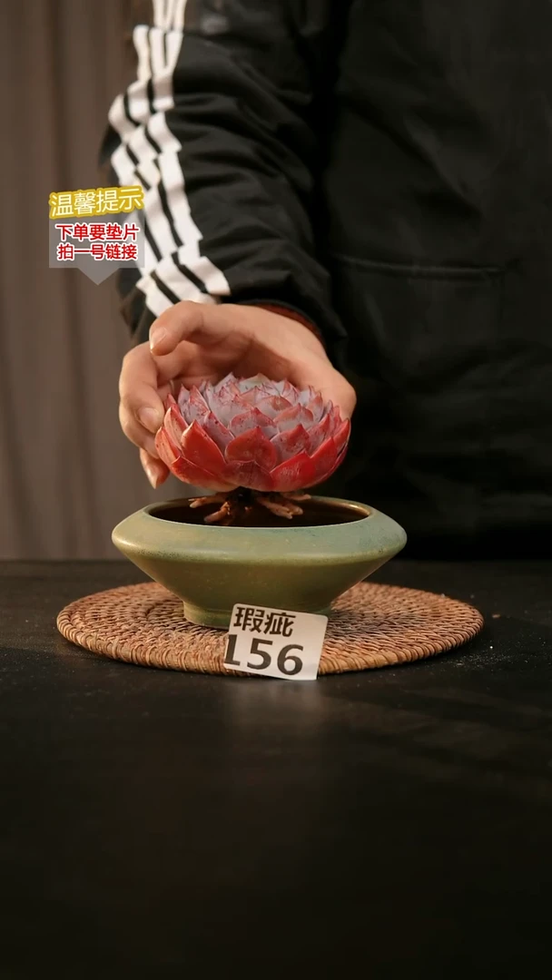 瓷片156内口径约10  外高约5