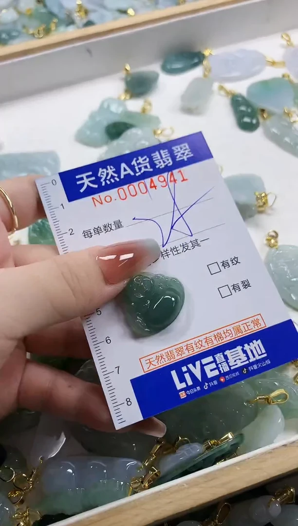 颈饰未镶嵌翡翠天然A货翡翠