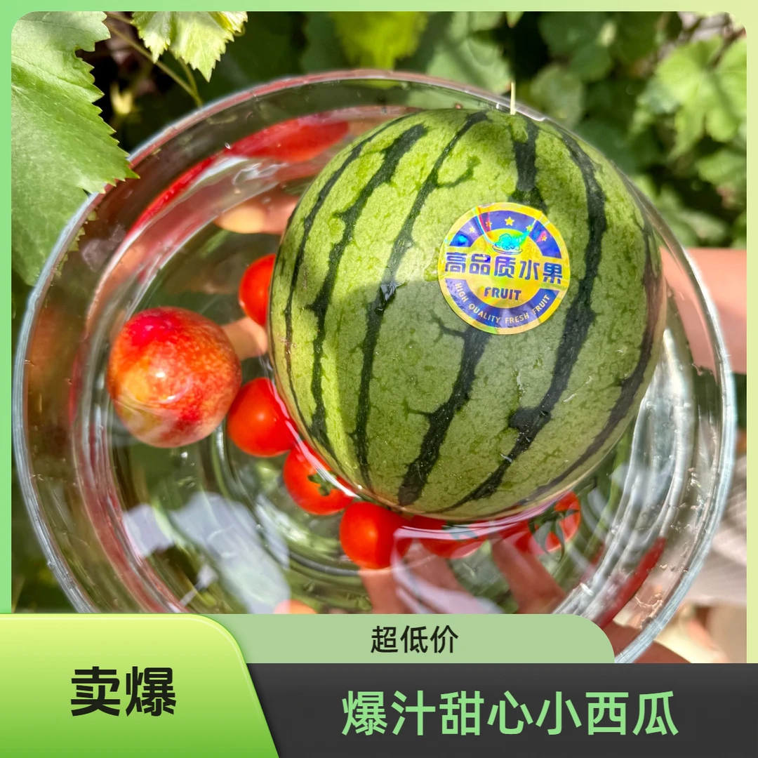 巨好吃的爆汁甜心小西瓜2500-3000g新鲜山西省
