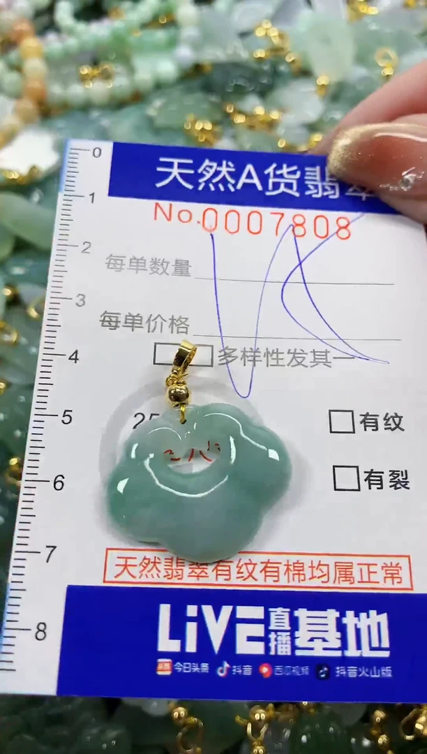 颈饰未镶嵌翡翠天然A货翡翠