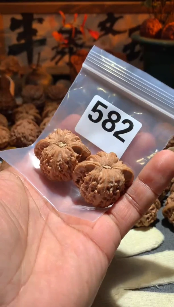 把件桃核6*?582号 白狮子 37  尺左右盘玩打底不支持退换