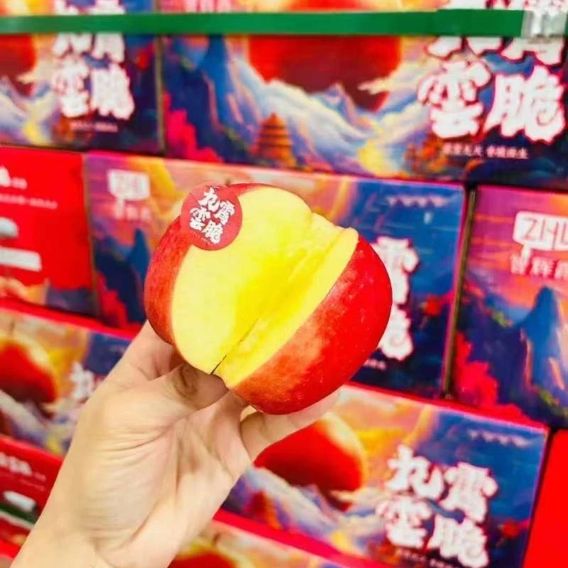 【云南九霄云脆】云南九霄云脆苹果高端苹果脆香多汁秦脆苹果礼盒云南省
