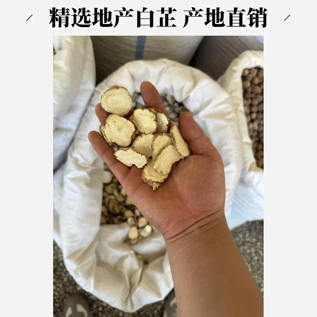 安国中药材市场批发白芷切片祁白芷100-1000g产地直销