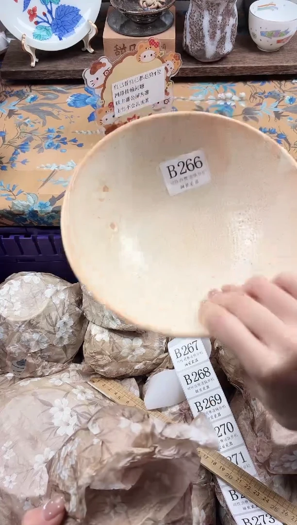 瓷片?**?                B266