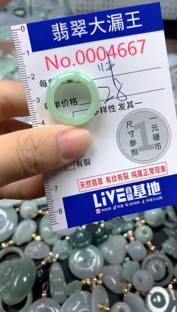 翡翠未镶嵌吊坠(不含链)4667