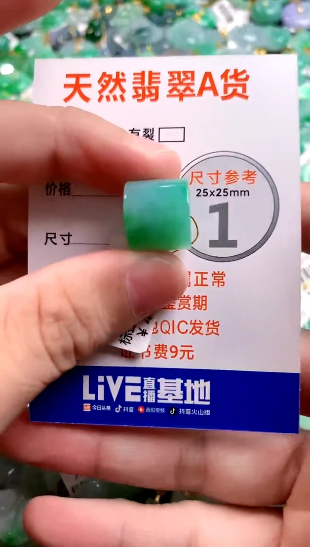 颈饰未镶嵌翡翠0718006689