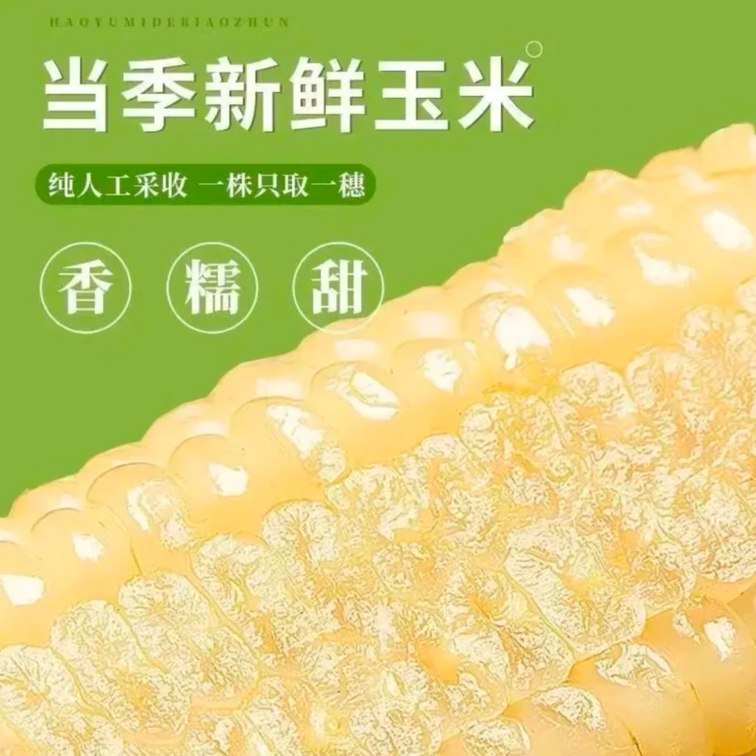 【试吃2根】黑龙江黑土地种植大棒白糯玉米透明真空包装10支到手6斤